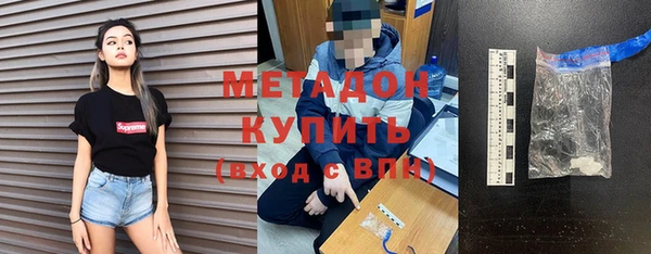 амф Гусев