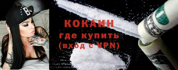 ГАЛЛЮЦИНОГЕННЫЕ ГРИБЫ Щучье
