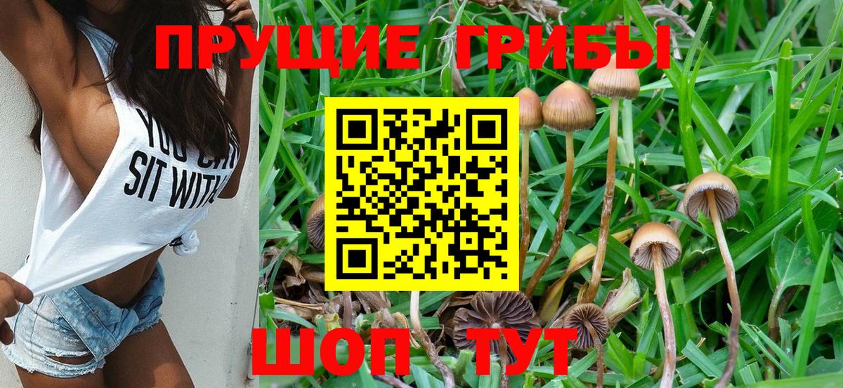 Киреевск  Псилоцибиновые грибы Cubensis  Вход с VPN 