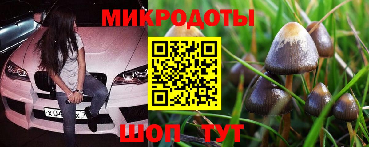 Псилоцибиновые грибы GOLDEN TEACHER Киреевск