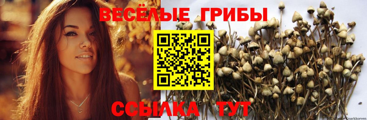 Гашиш Киреевск